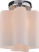Потолочный светильник Arte Lamp 18 A3479PL-1CC