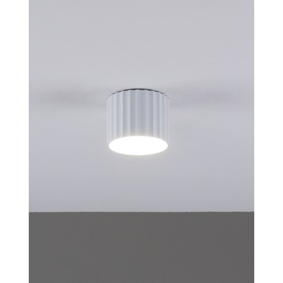 Настенно-потолочный светильник Moderli Cora V11884-1C