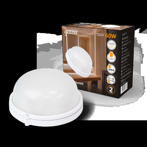 Настенно-потолочный светильник Gauss 926602106 Настенно-потолочный светильник Gauss 926602106