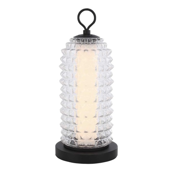 Настольная лампа ST Luce SAGUARO SL6144.404.01