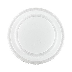 Настенно-потолочный светодиодный светильник Sonex Pale Floors 2041/DL