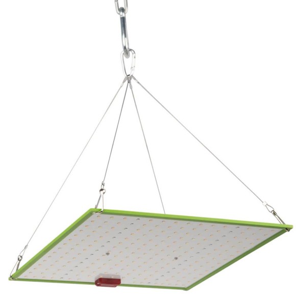 Прожектор светодиодный для растений ЭРА 50W 1310K Fito-80W-Led-QB Б0053285 Прожектор светодиодный для растений ЭРА 50W 1310K Fito-80W-Led-QB Б0053285