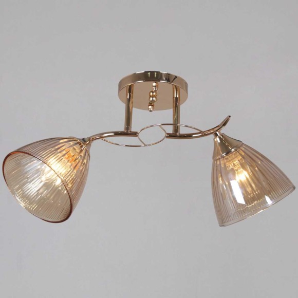 Потолочная люстра Reluce 02560-0.3-02 FG