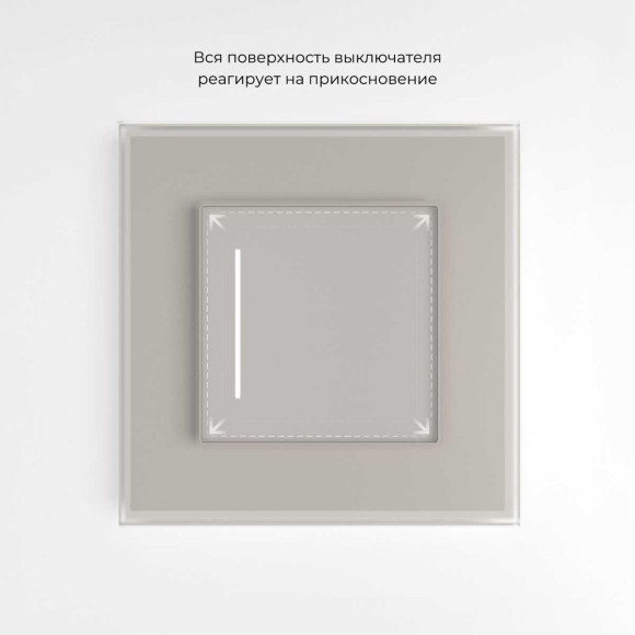 Сенсорный выключатель одноклавишный с подсветкой (дымчатый) W4512014/ a069762