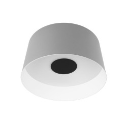 Потолочный светодиодный светильник Loft IT Duo 10360M Grey Потолочный светодиодный светильник Loft IT Duo 10360M Grey