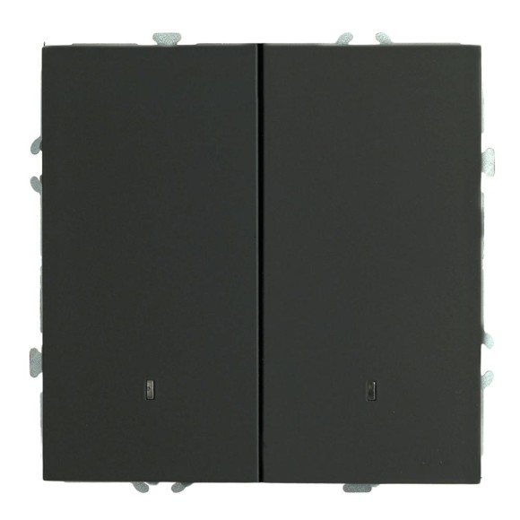 Выключатель 2-клавишный c индикатором (механизм), STEKKER, 250В, 10А, серия Эмили, RSW10-5102-05, черный уголь, soft touch 49838