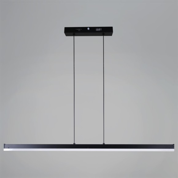 Подвесной светильник Reluce 13602-0.4-01 BK Подвесной светильник Reluce 13602-0.4-01 BK