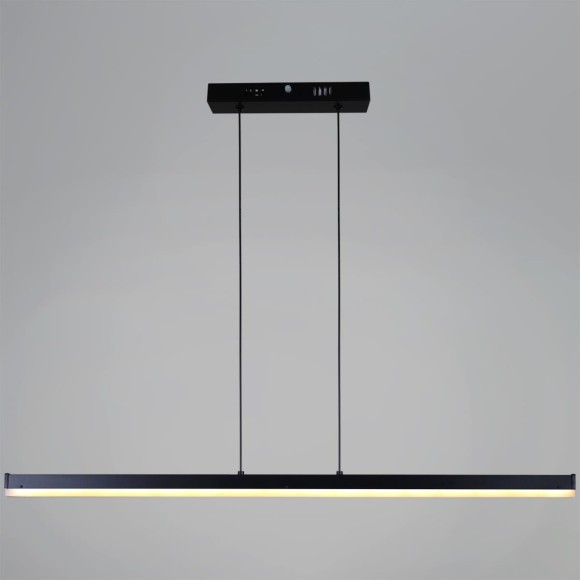 Подвесной светильник Reluce 13602-0.4-01 BK Подвесной светильник Reluce 13602-0.4-01 BK