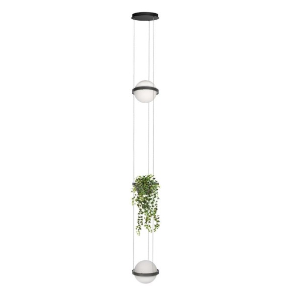 Подвесной светодиодный светильник Loft IT Jardin 10121/2P Dark grey Подвесной светодиодный светильник Loft IT Jardin 10121/2P Dark grey