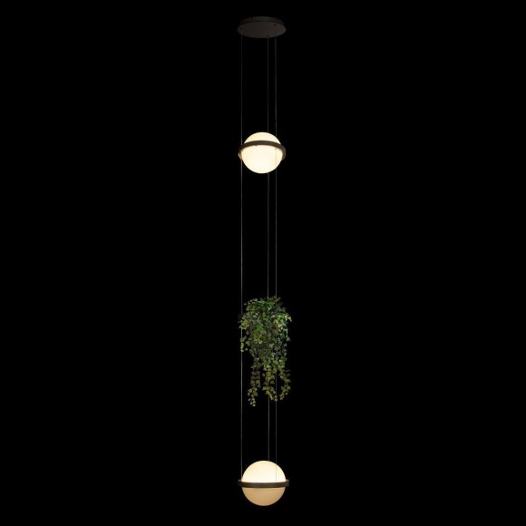 Подвесной светодиодный светильник Loft IT Jardin 10121/2P Dark grey Подвесной светодиодный светильник Loft IT Jardin 10121/2P Dark grey