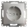 Розетка 1-местная Stekker Катрин GLS16-7110-03 серебро 39582 Розетка 1-местная Stekker Катрин GLS16-7110-03 серебро 39582