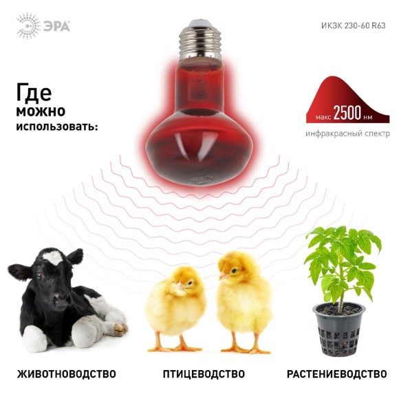 Лампа инфракрасная ЭРА E27 60 Вт для обогрева животных и освещения ИКЗК 230-60 Вт R63 Е27 Б0057281 Лампа инфракрасная ЭРА E27 60 Вт для обогрева животных и освещения ИКЗК 230-60 Вт R63 Е27 Б0057281