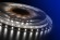 Светодиодная влагозащищенная лента DesignLed 7,2W/m 60LED/m 2835SMD нейтральный белый 5M 001491 Светодиодная влагозащищенная лента DesignLed 7,2W/m 60LED/m 2835SMD нейтральный белый 5M 001491