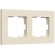 Рамка на 2 поста Werkel Slab айвори матовый W0022962 4690389193392