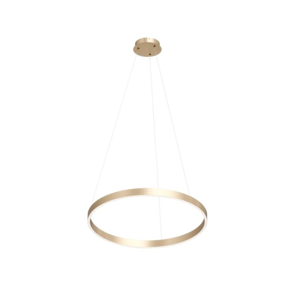 Подвесной светодиодный светильник Denkirs Raydia DK6273-SG