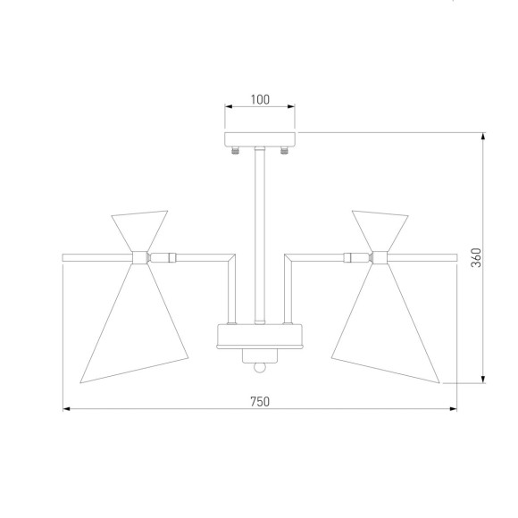 Потолочная люстра Eurosvet Apart 70114/5 белый