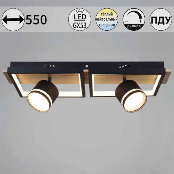 Потолочный светильник Reluce 19560-0.3-2+2 BK+WOOD