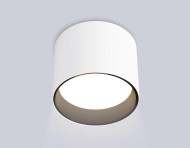 Светильник накладной Ambrella Light TN5303