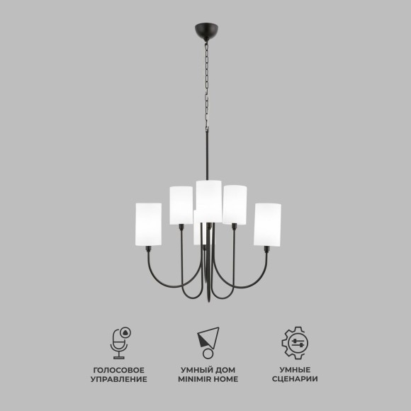 Подвесная люстра Eurosvet Abbey 60164/6 черный Smart