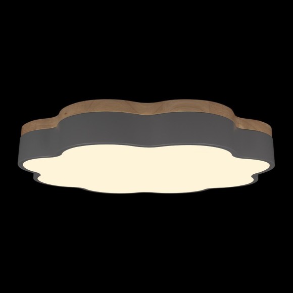 Потолочный светодиодный светильник Loft IT Axel 10225/36 Grey Потолочный светодиодный светильник Loft IT Axel 10225/36 Grey