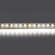 Светодиодная лента Lightstar 12W/m 120LED/m холодный белый 5M 420805 Светодиодная лента Lightstar 12W/m 120LED/m холодный белый 5M 420805