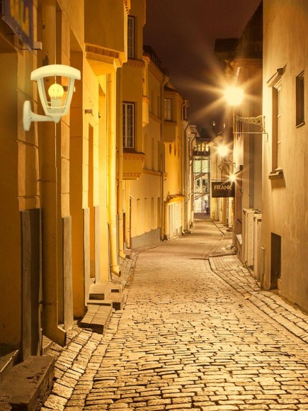 Уличный настенный светильник Apeyron Дели 11-150 Уличный настенный светильник Apeyron Дели 11-150