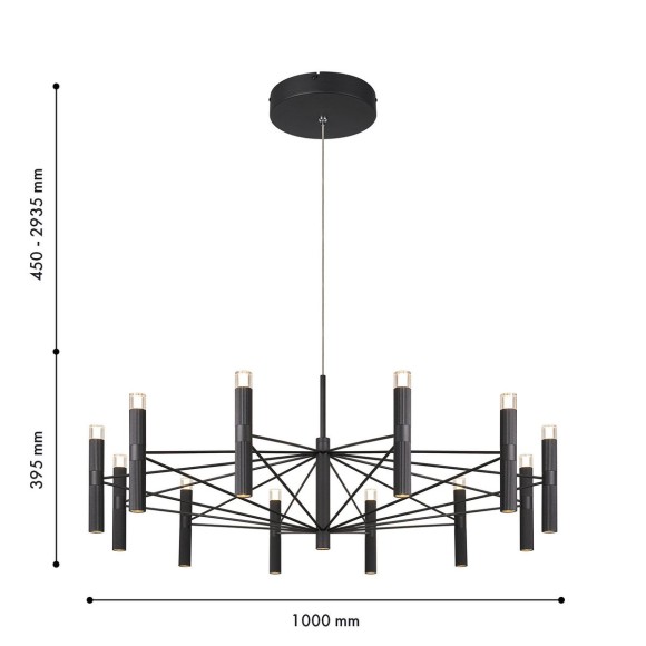 Подвесная светодиодная люстра Favourite Blick 4758-12P