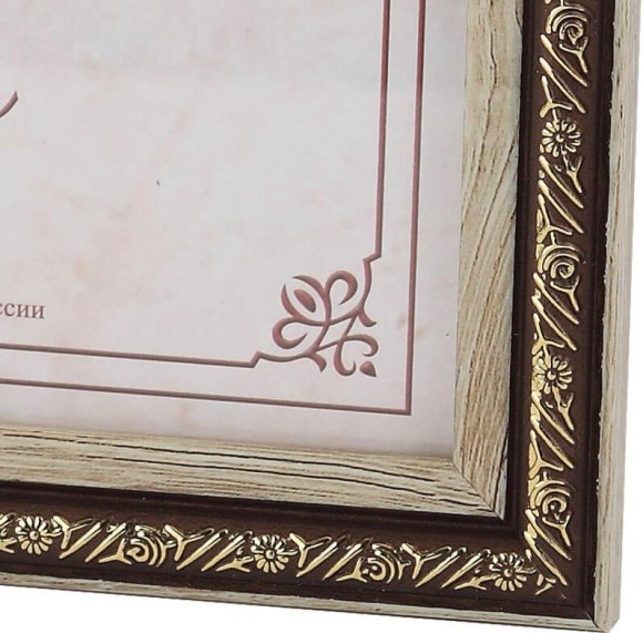 Фоторамка FA пластик Нива ольха 15х21 (30/630) Б0039931 Фоторамка FA пластик Нива ольха 15х21 (30/630) Б0039931