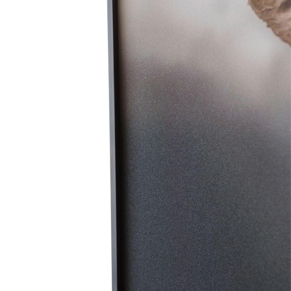 Картина Lumina Deco FP Elephant 50-70