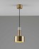 Светильник подвесной Moderli Goldy V11318-1P