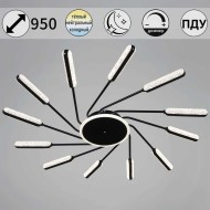 Потолочная люстра Reluce 87290-0.3-12 BK Потолочная люстра Reluce 87290-0.3-12 BK